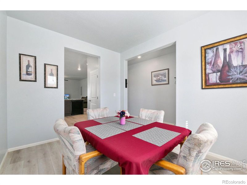 1097 Long Meadows St, Severance, CO 80550