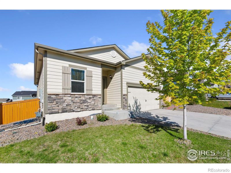1097 Long Meadows St, Severance, CO 80550