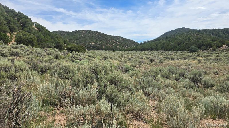 Lot 4435 Beekman Rd, Fort Garland, CO 81133