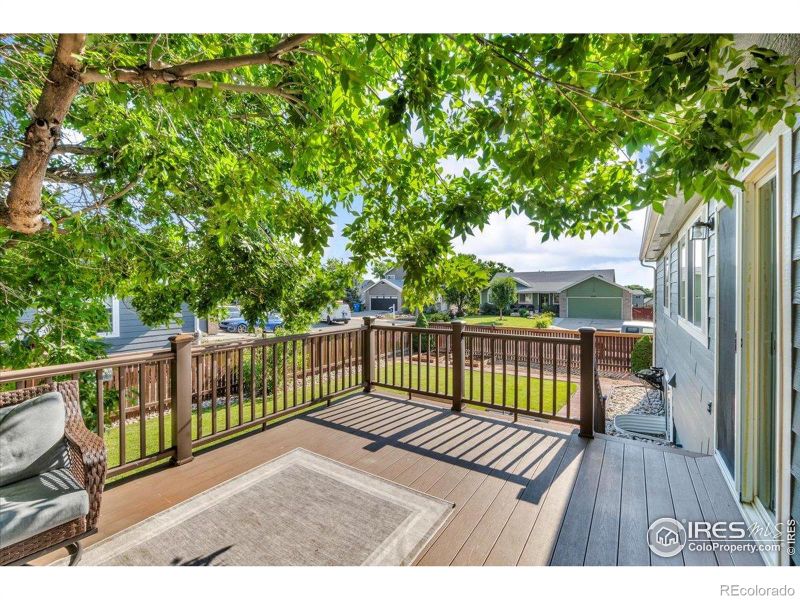 3565 Carbondale St, Loveland, CO 80538
