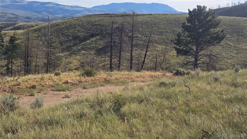 Lot 7719 Hallstein Rd, Fort Garland, CO 81133
