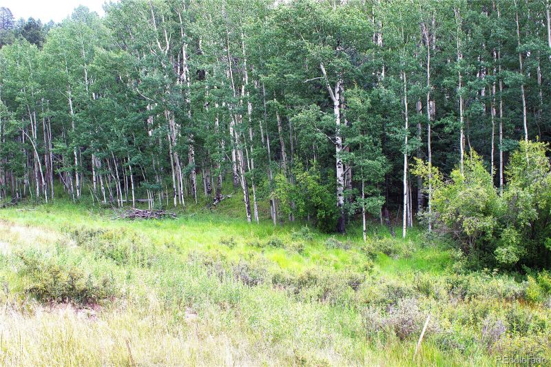 344 Grey Eagle Dr, Cripple Creek, CO 80814