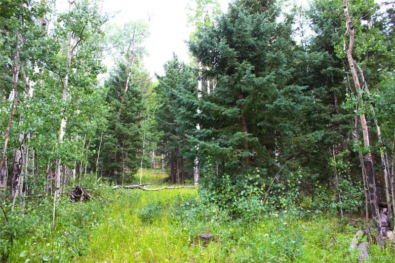 344 Grey Eagle Dr, Cripple Creek, CO 80814