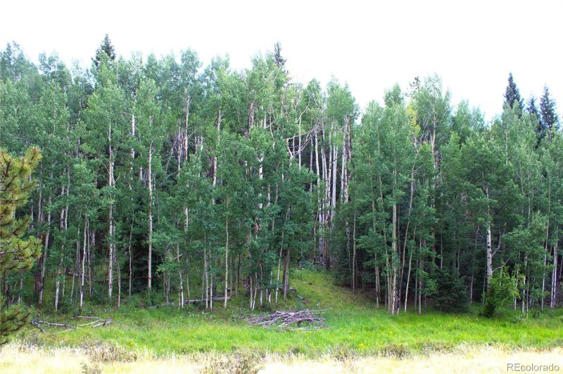 344 Grey Eagle Dr, Cripple Creek, CO 80814