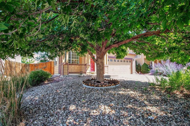 7144 Cattle Dr, Colorado Springs, CO 80922