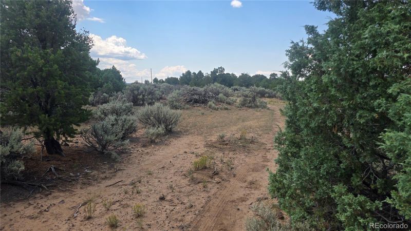 Lots 3 - 4 Coronado Circle W, San Luis, CO 81152