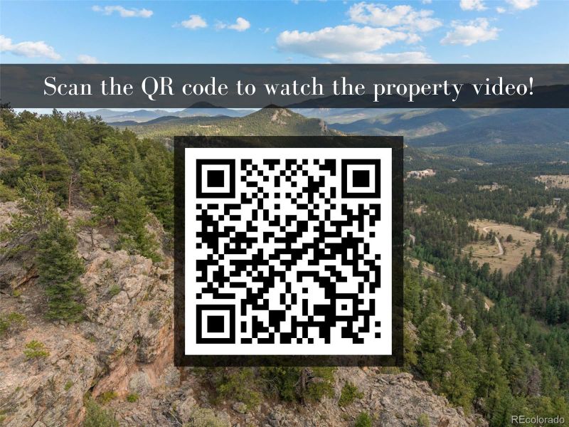 220 Ravenswood Ct, Bailey, CO 80421