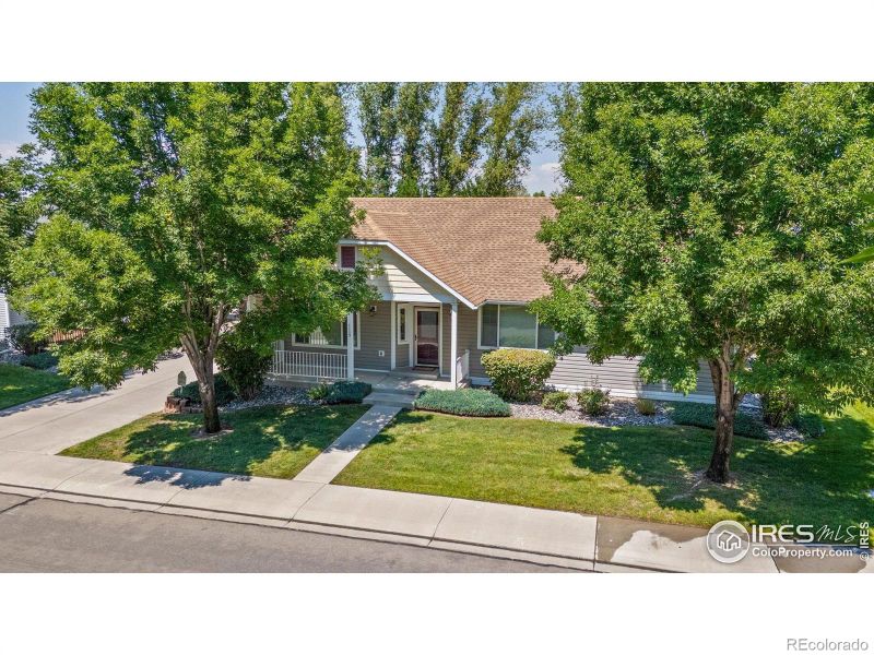 1115 Sunrose Ln, Fruita, CO 81521