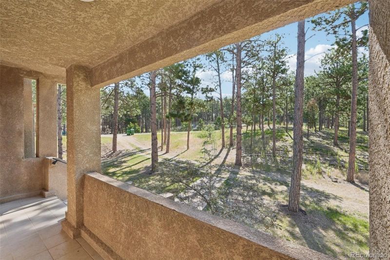 17950 Martingale Rd, Monument, CO 80132