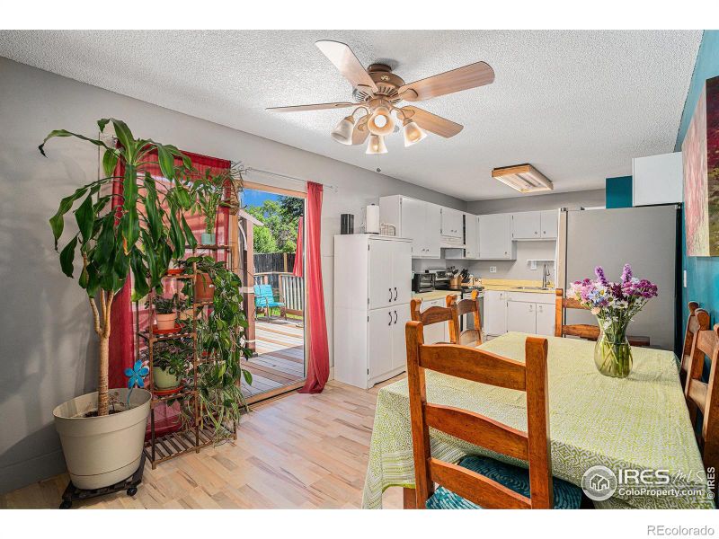 520 Sycamore Dr, Windsor, CO 80550