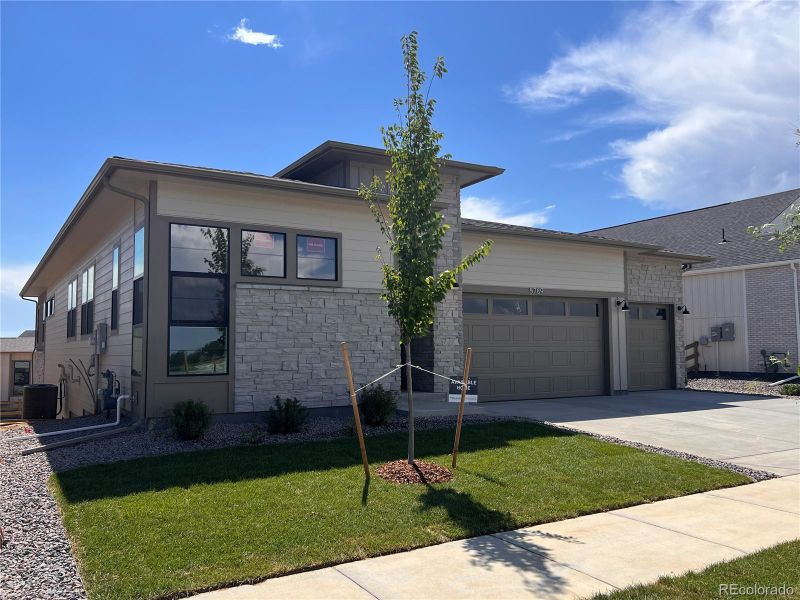 5789 Gianna Dr, Timnath, CO 80547