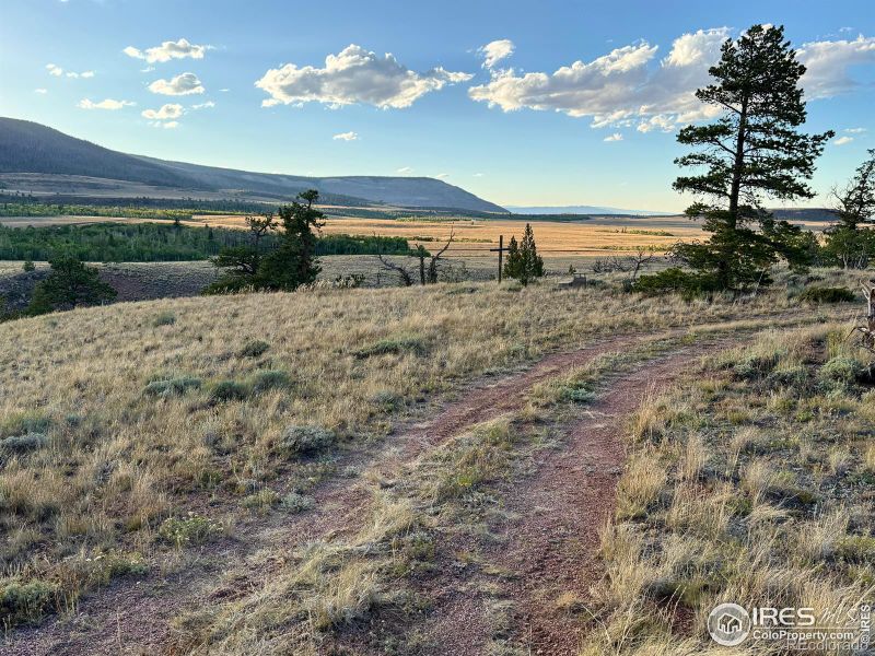 624 Dewclaw Rd, Red Feather Lakes, CO 80545