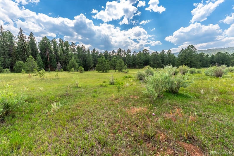 Sh 67, Woodland Park, CO 80863