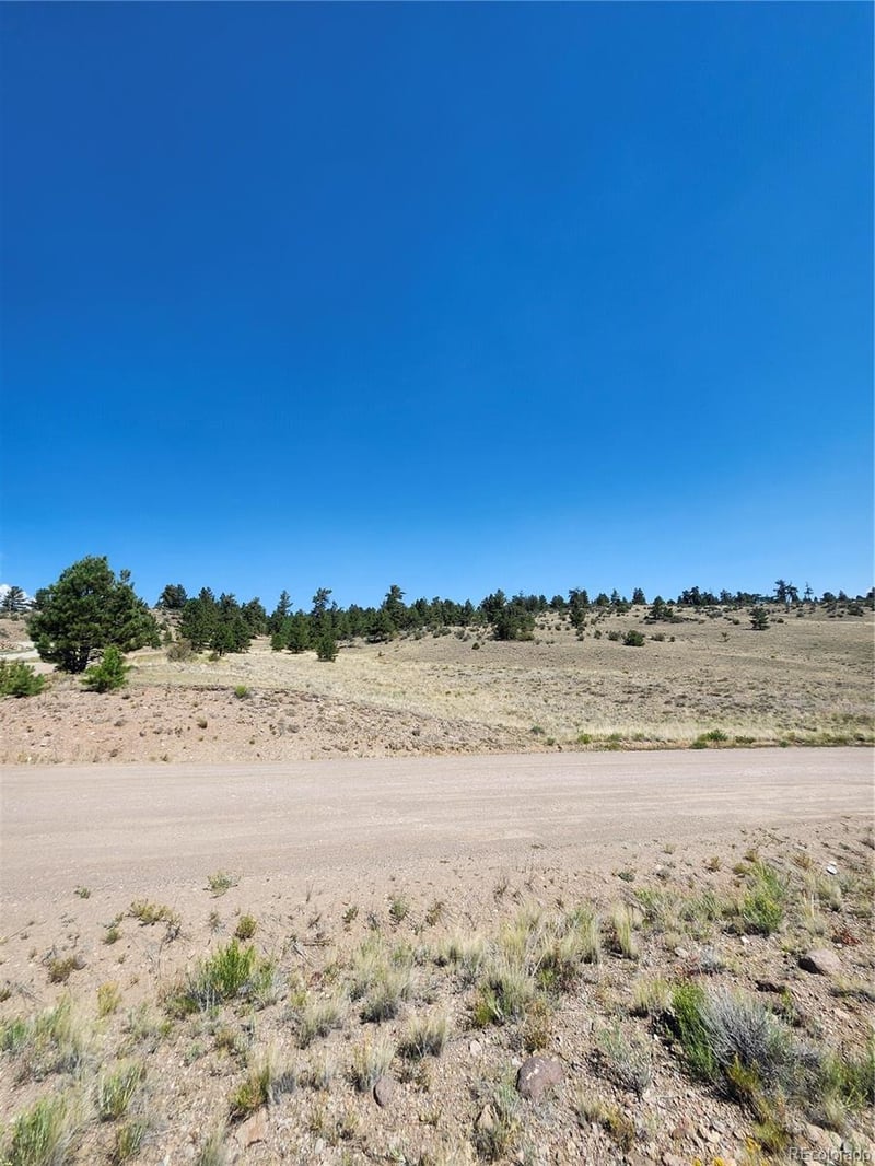 64 Bandana Rd, Hartsel, CO 80449