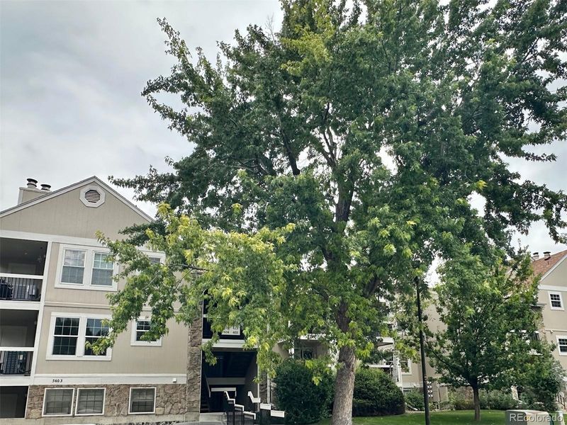 5403 W 76th Ave, Arvada, CO 80003