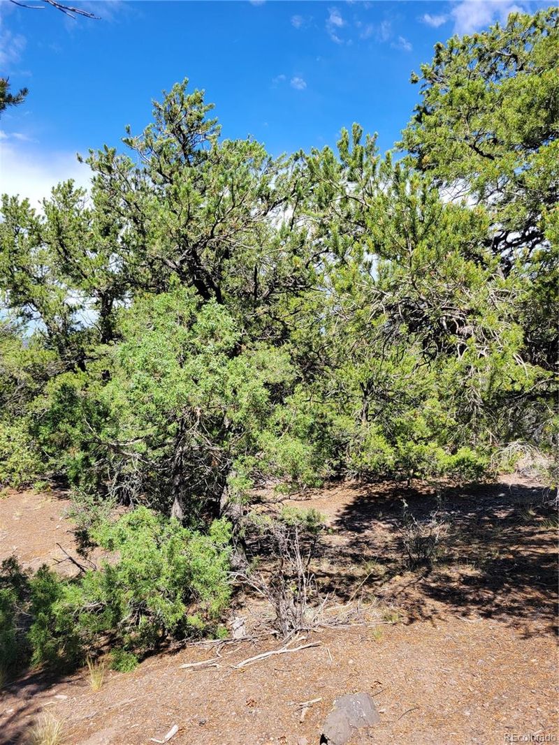00 Apple Rd, Fort Garland, CO 81133