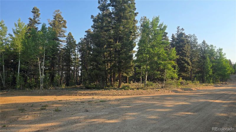 Lot 5768 Clawson Rd, Fort Garland, CO 81133