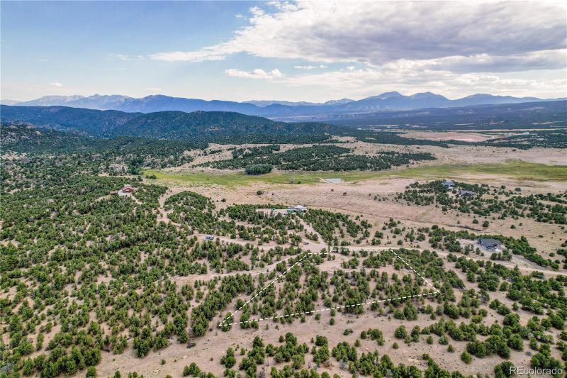 10286 Pioneer Trc, Nathrop, CO 81236