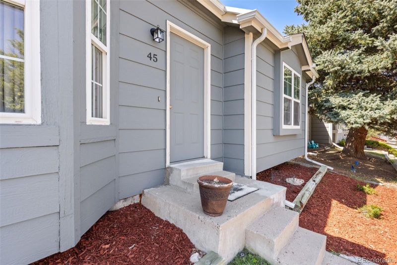 45 N Bedford Ave, Castle Rock, CO 80104
