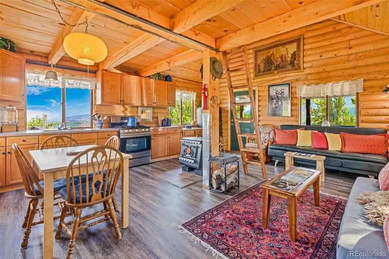 210 Pine Ridge Rd, Fairplay, CO 80440