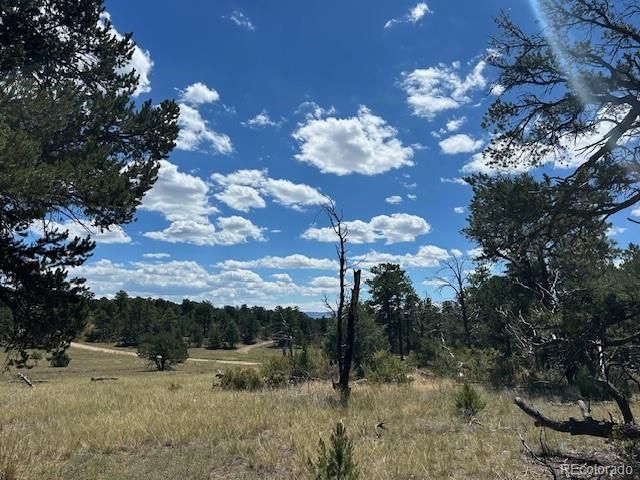 000 29th Trail & L Pa, Cotopaxi, CO 81223