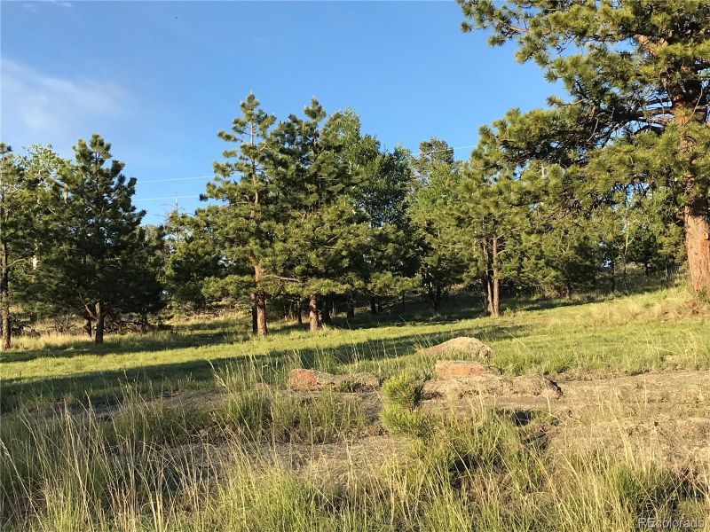 314 Arrowhead Dr, Florissant, CO 80816