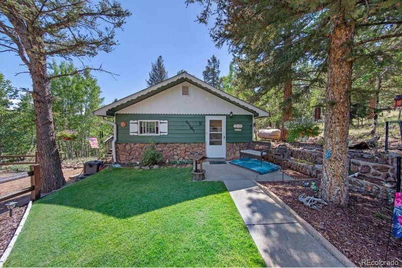 567 Forest Dr, Bailey, CO 80421