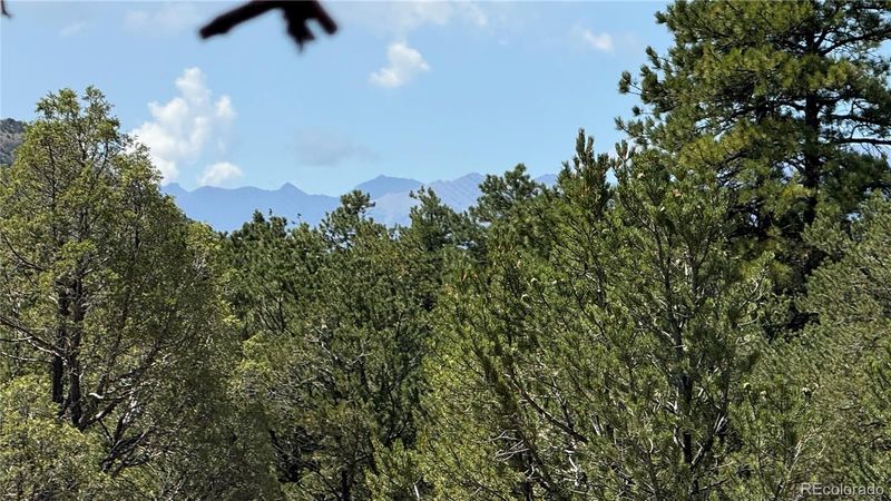 876 Q Pa, Cotopaxi, CO 81223