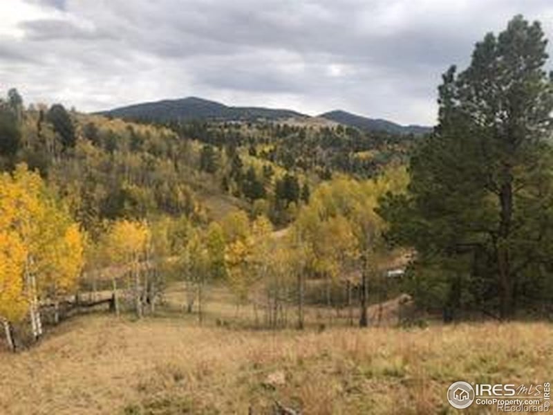 499 Granite Ln, Cripple Creek, CO 80813