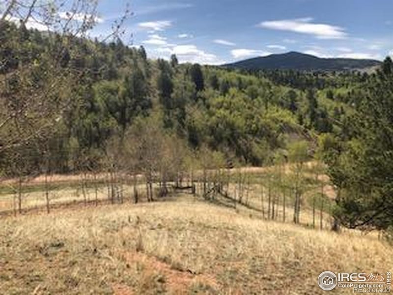 499 Granite Ln, Cripple Creek, CO 80813