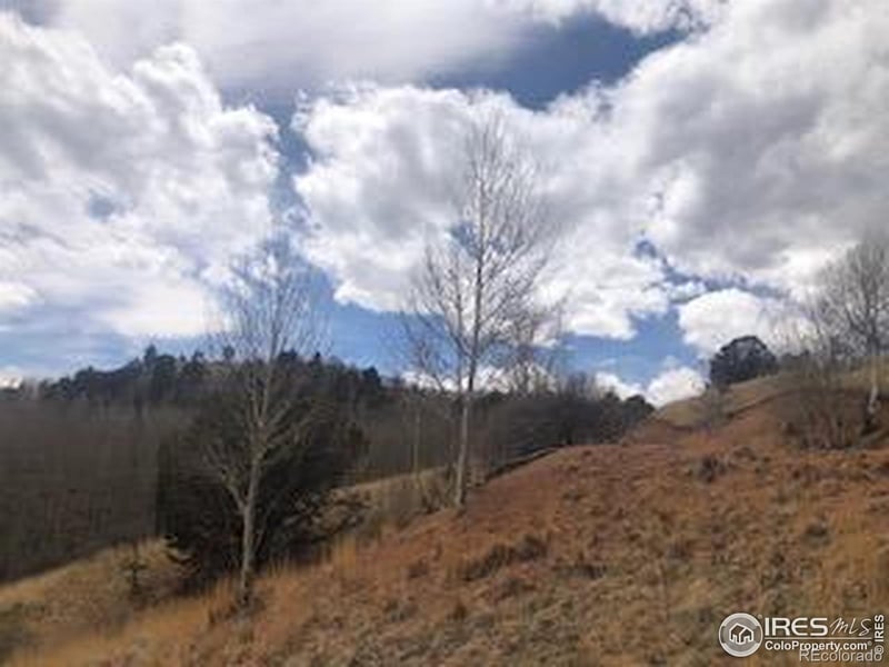 499 Granite Ln, Cripple Creek, CO 80813