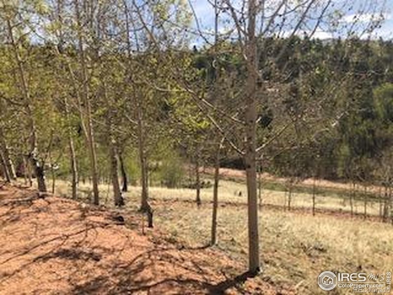 499 Granite Ln, Cripple Creek, CO 80813