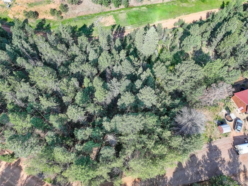 490 Willow Rd, Divide, CO 80814
