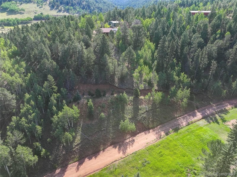 490 Willow Rd, Divide, CO 80814