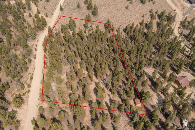 469 Ee Hill Dr, Twin Lakes, CO 81251