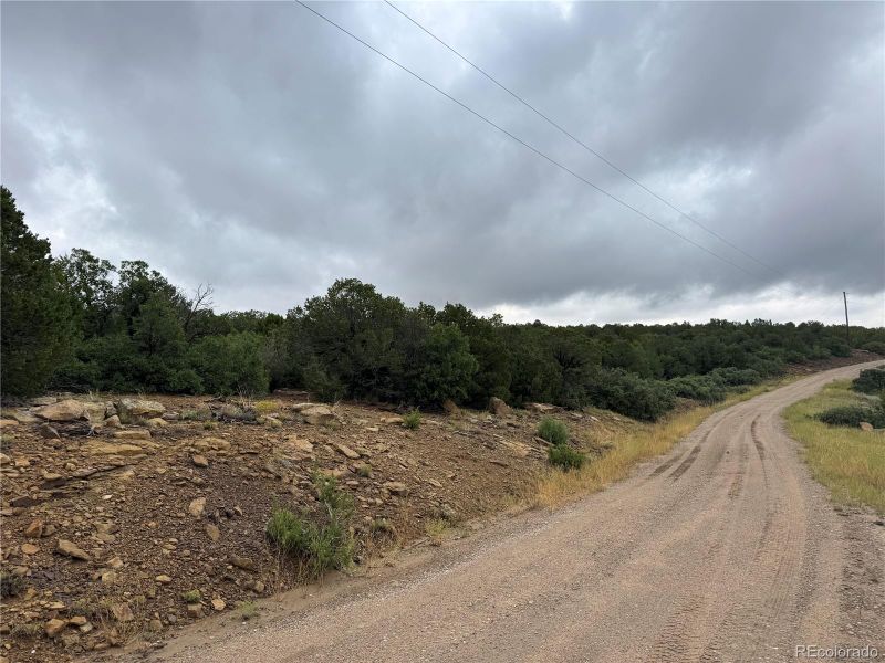 Reins Rd, Walsenburg, CO 81089