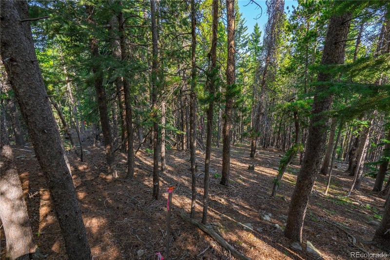 000 Aspenwood Ln, Evergreen, CO 80439