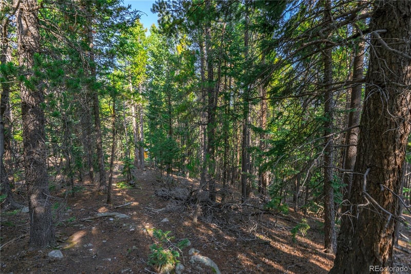 000 Aspenwood Ln, Evergreen, CO 80439