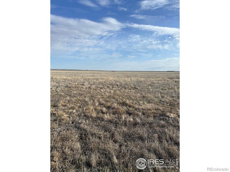 0 Tbd Cr 71, Briggsdale, CO 80611