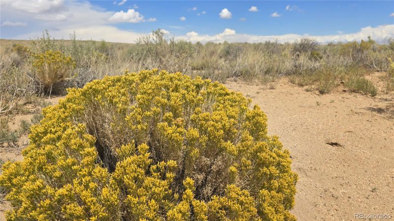 Lot 115 Osage Trl, San Luis, CO 81152