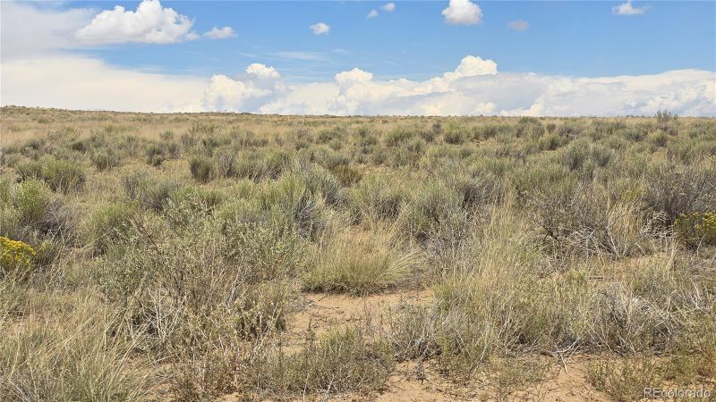 Lot 115 Osage Trl, San Luis, CO 81152