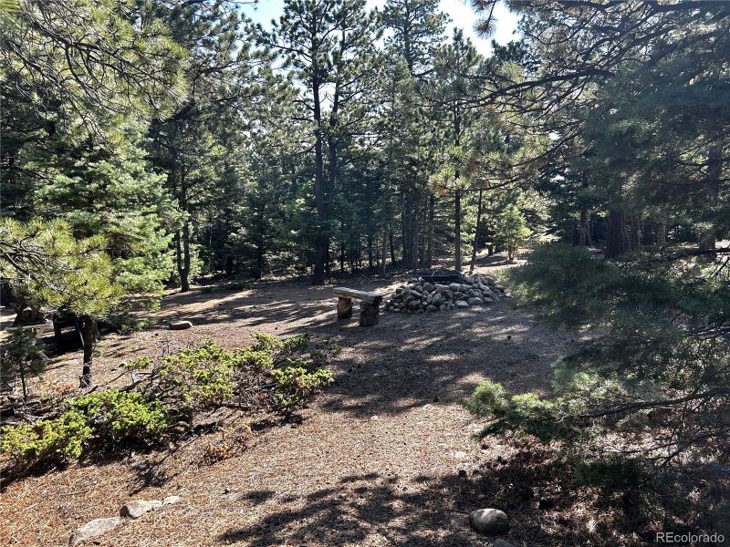 53 Pine Eagle Ct, Westcliffe, CO 81252