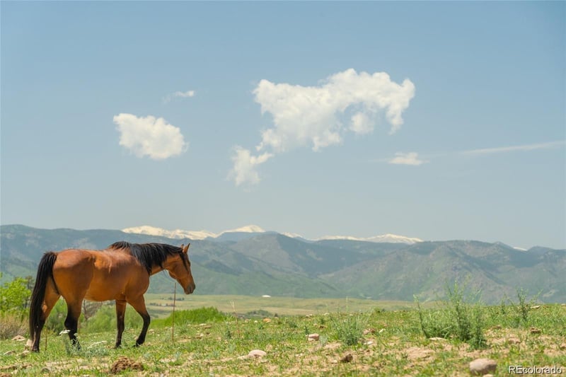 3330 Tweet Pl, Sedalia, CO 80135