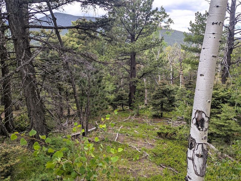 2763 Purnell Ln, Fort Garland, CO 81133