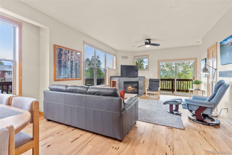 54 Twenty Grand Ct, Silverthorne, CO 80498