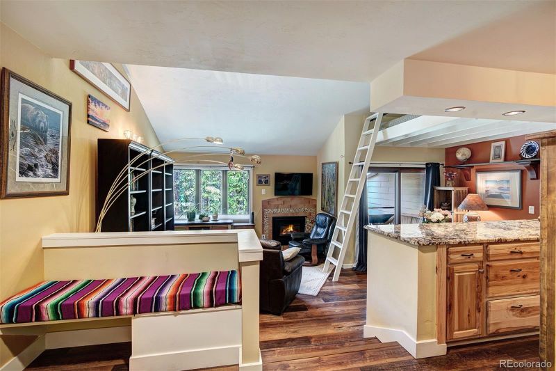 246 Broken Lance Dr #303, Breckenridge, CO 80424