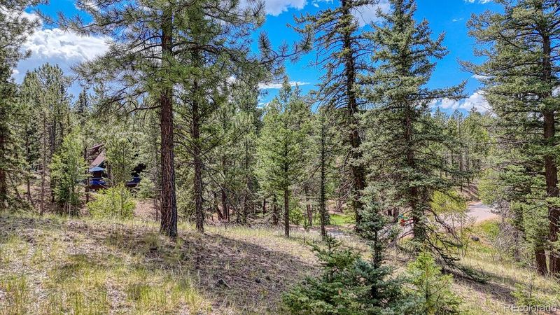 18 Falcon Cir, Florissant, CO 80816