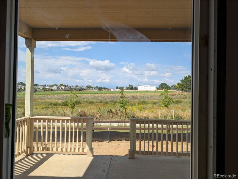 16923 Ballinger Cir, Mead, CO 80542