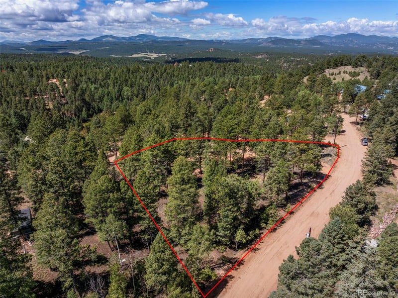 210 Donzi Trl, Florissant, CO 80816