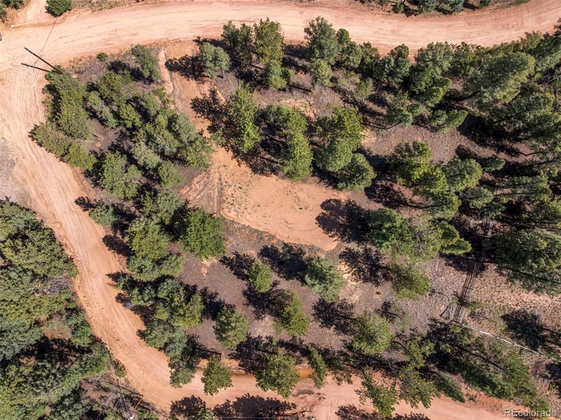 210 Donzi Trl, Florissant, CO 80816